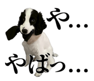799906132