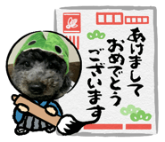 799914923