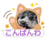799914930