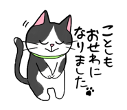 799935977