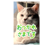 799942293
