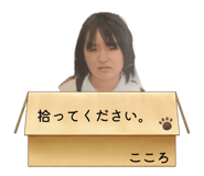 799970587