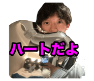 799976683