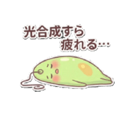 799981336