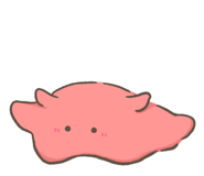 800008957