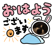 800020016