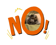 800021271
