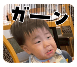 800033993