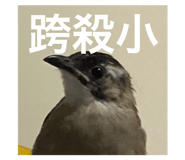 800034367