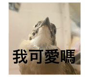800034368
