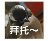 800034369