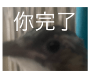 800034370