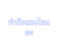 800042338