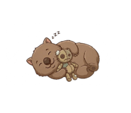 800042509