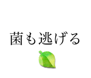800043961