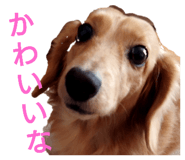 800069717