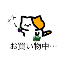 800074869