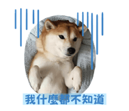 800146398