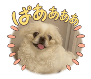 800183392