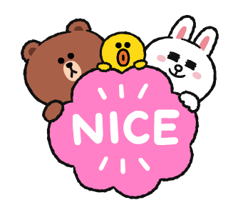 ลายที่ 17