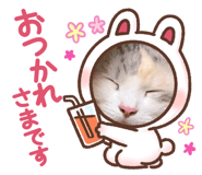 800194977
