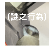 800200078