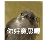 800200079