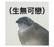 800200080