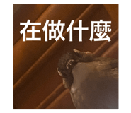 800200081