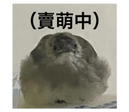 800200087