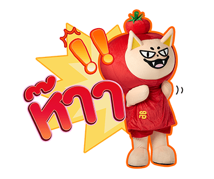 ลายที่ 47