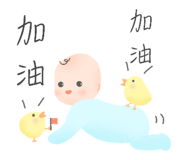 800205817