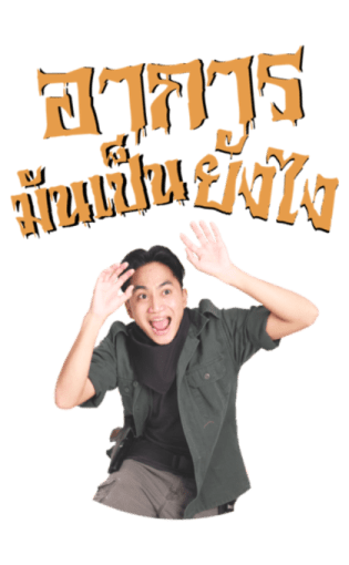 ลายที่ 21