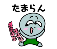 800217720