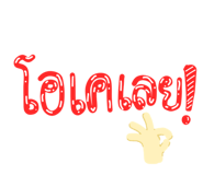 800228956