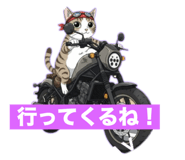 800242387