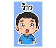 800255334
