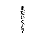 800306205