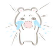 800311943