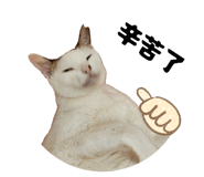 800373074