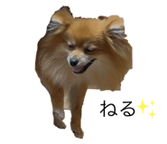 800382979