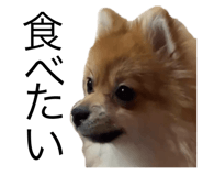 800382990