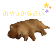 800382992