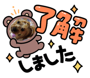 800408631
