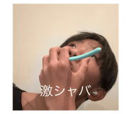 800408733