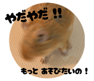 800414122