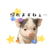 800416944