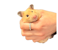 800419048