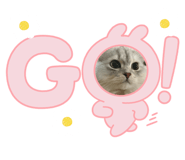 800427627
