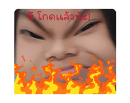 800441346
